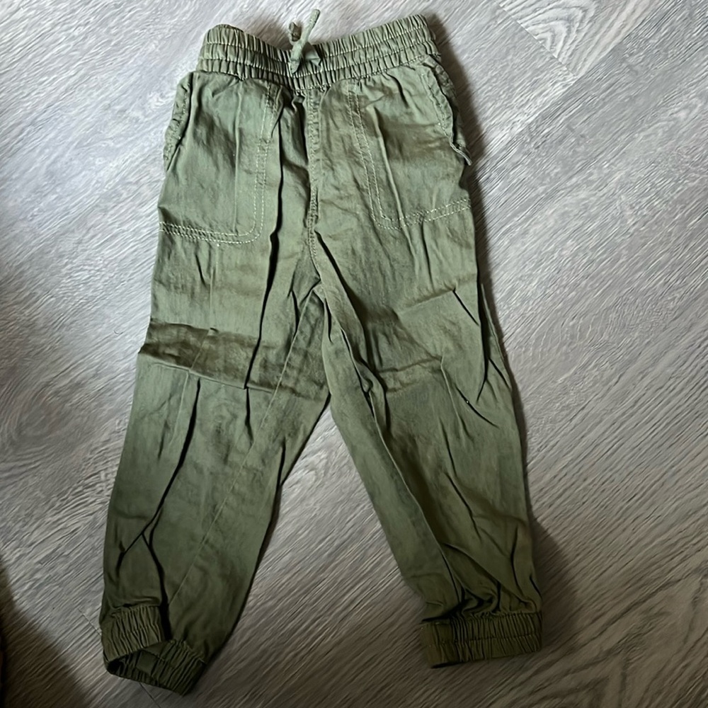Gap pants